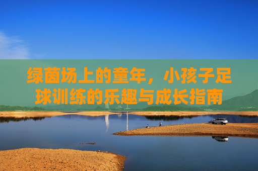 绿茵场上的童年，小孩子足球训练的乐趣与成长指南