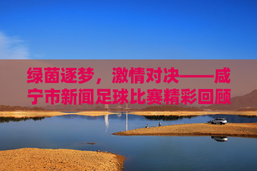 绿茵逐梦，激情对决——咸宁市新闻足球比赛精彩回顾