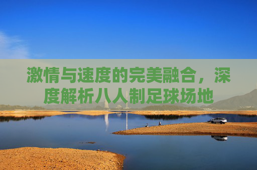 激情与速度的完美融合,深度解析八人制足球场地