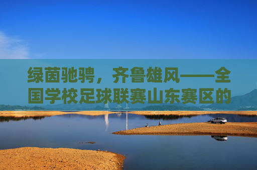 绿茵驰骋，齐鲁雄风——全国学校足球联赛山东赛区的精彩绽放