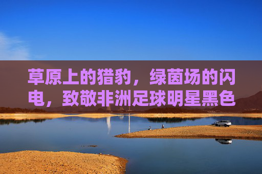 草原上的猎豹,绿茵场的闪电,致敬非洲足球明星黑色闪电