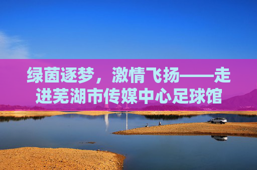 绿茵逐梦，激情飞扬——走进芜湖市传媒中心足球馆
