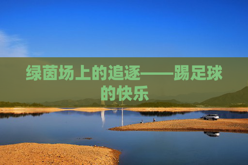 绿茵场上的追逐——踢足球的快乐