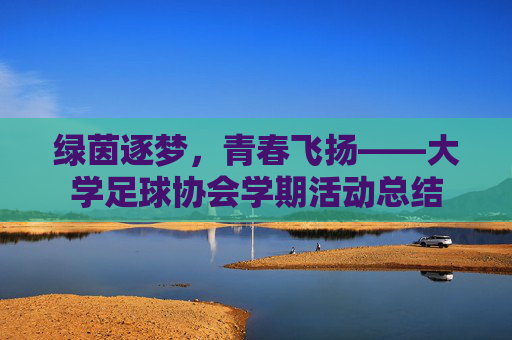 绿茵逐梦，青春飞扬——大学足球协会学期活动总结