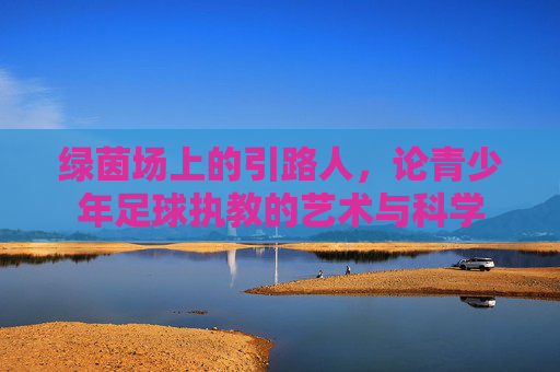 绿茵场上的引路人，论青少年足球执教的艺术与科学