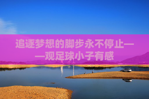 追逐梦想的脚步永不停止——观足球小子有感