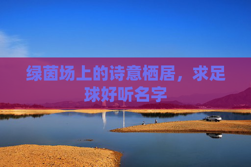 绿茵场上的诗意栖居,求足球好听名字