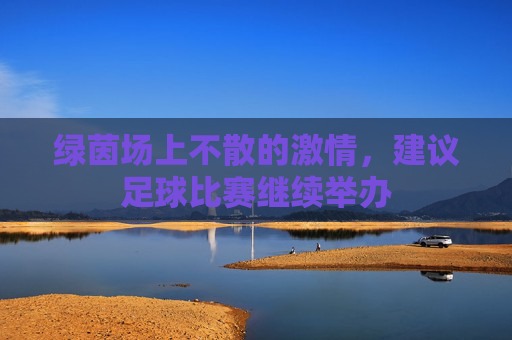绿茵场上不散的激情,建议足球比赛继续举办