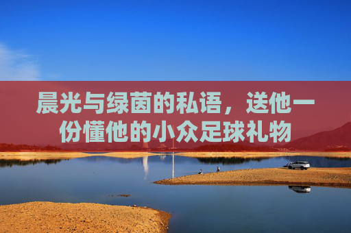 晨光与绿茵的私语，送他一份懂他的小众足球礼物
