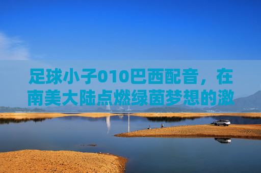 足球小子010巴西配音,在南美大陆点燃绿茵梦想的激情之声