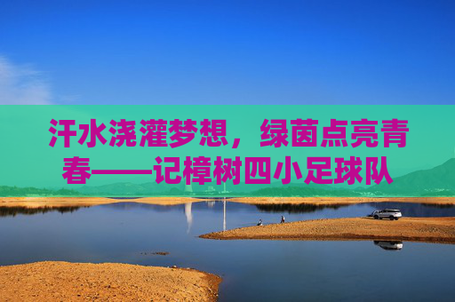 汗水浇灌梦想，绿茵点亮青春——记樟树四小足球队