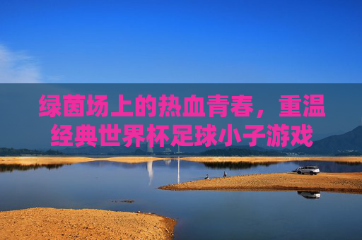 绿茵场上的热血青春,重温经典世界杯足球小子游戏
