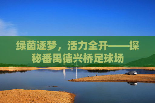 绿茵逐梦,活力全开——探秘番禺德兴桥足球场