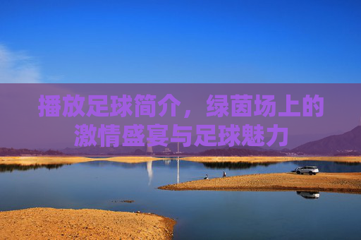 播放足球简介,绿茵场上的激情盛宴与足球魅力