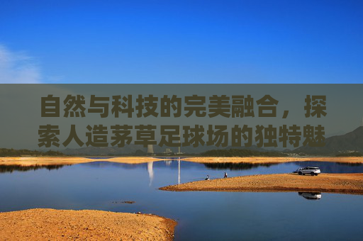 自然与科技的完美融合，探索人造茅草足球场的独特魅力