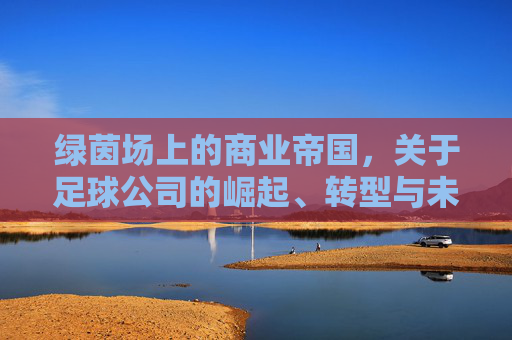 绿茵场上的商业帝国，关于足球公司的崛起、转型与未来