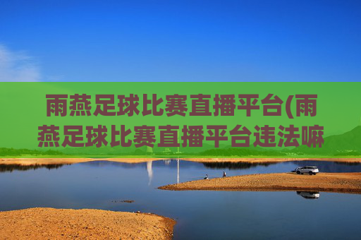 雨燕足球比赛直播平台(雨燕足球比赛直播平台违法嘛)