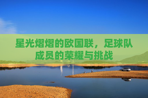 星光熠熠的欧国联,足球队成员的荣耀与挑战