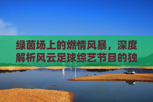 绿茵场上的燃情风暴,深度解析风云足球综艺节目的独特魅力