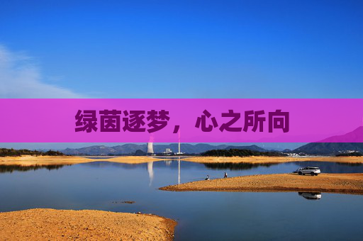 绿茵逐梦，心之所向