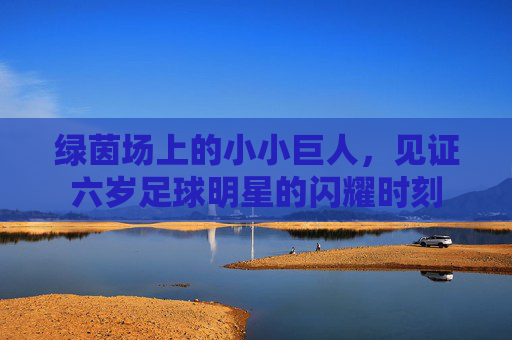 绿茵场上的小小巨人,见证六岁足球明星的闪耀时刻