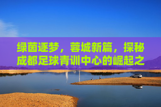 绿茵逐梦，蓉城新篇，探秘成都足球青训中心的崛起之路
