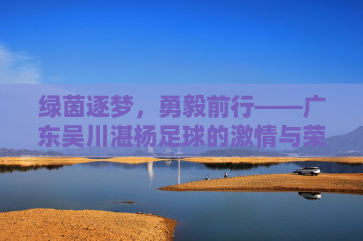 绿茵逐梦,勇毅前行——广东吴川湛杨足球的激情与荣光