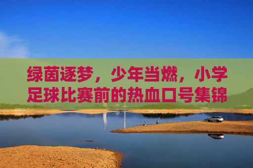 绿茵逐梦，少年当燃，小学足球比赛前的热血口号集锦