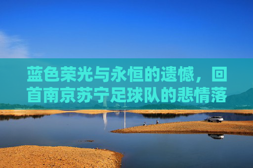 蓝色荣光与永恒的遗憾，回首南京苏宁足球队的悲情落幕
