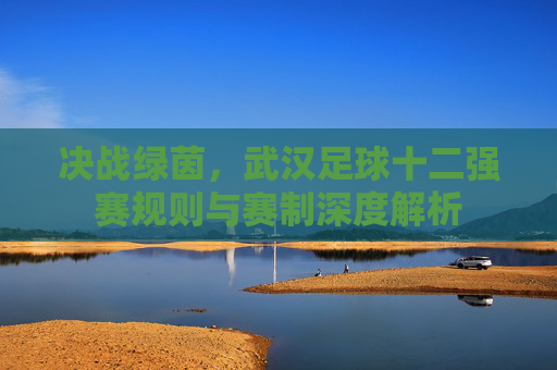 决战绿茵,武汉足球十二强赛规则与赛制深度解析