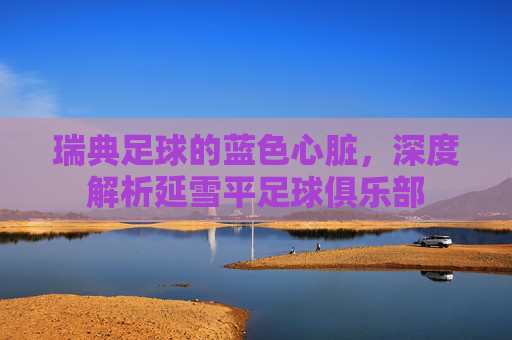 瑞典足球的蓝色心脏,深度解析延雪平足球俱乐部