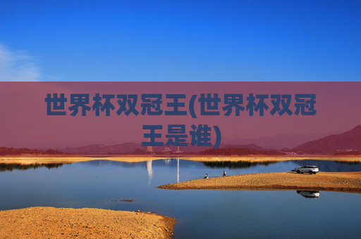 世界杯双冠王(世界杯双冠王是谁)