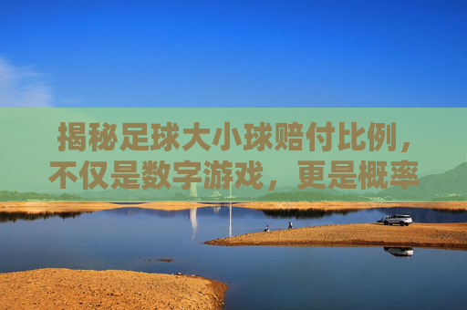 揭秘足球大小球赔付比例，不仅是数字游戏，更是概率博弈