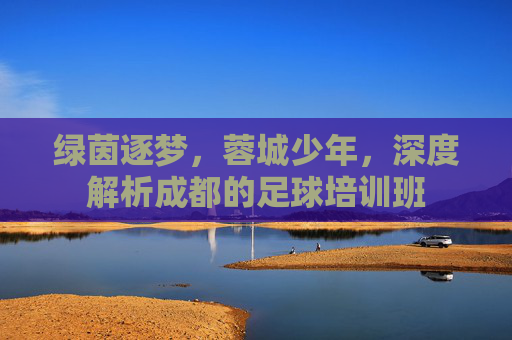 绿茵逐梦，蓉城少年，深度解析成都的足球培训班