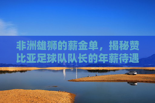 非洲雄狮的薪金单,揭秘赞比亚足球队队长的年薪待遇