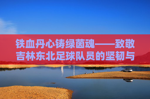铁血丹心铸绿茵魂——致敬吉林东北足球队员的坚韧与荣光