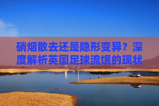 硝烟散去还是隐形变异?深度解析英国足球流氓的现状与演变