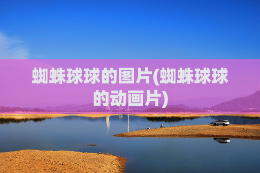 蜘蛛球球的图片(蜘蛛球球的动画片)