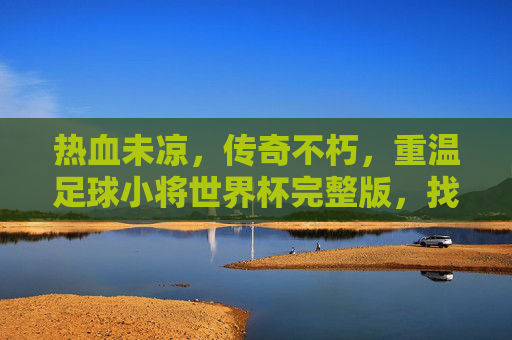 热血未凉,传奇不朽,重温足球小将世界杯完整版,找回少年的热血与梦想