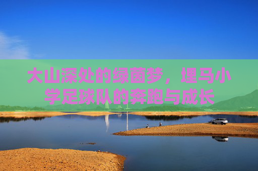 大山深处的绿茵梦,埋马小学足球队的奔跑与成长