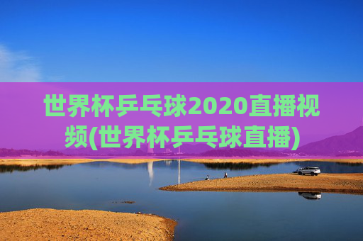 世界杯乒乓球2020直播视频(世界杯乒乓球直播)