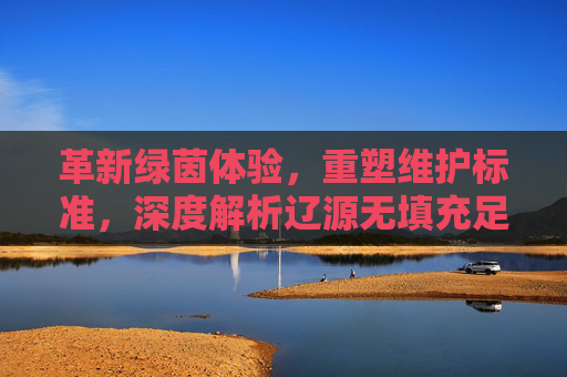 革新绿茵体验，重塑维护标准，深度解析辽源无填充足球草