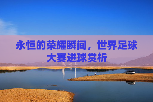 永恒的荣耀瞬间，世界足球大赛进球赏析