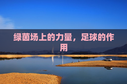 绿茵场上的力量，足球的作用