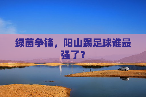 绿茵争锋,阳山踢足球谁最强了?