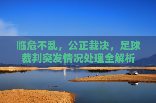 临危不乱，公正裁决，足球裁判突发情况处理全解析
