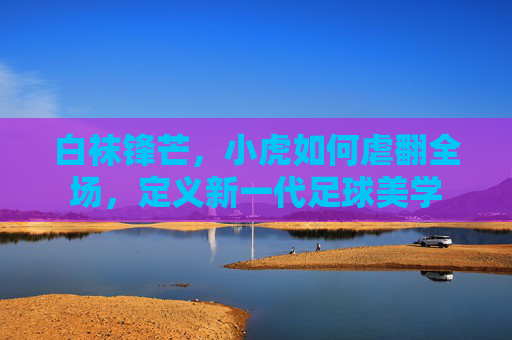 白袜锋芒,小虎如何虐翻全场,定义新一代足球美学