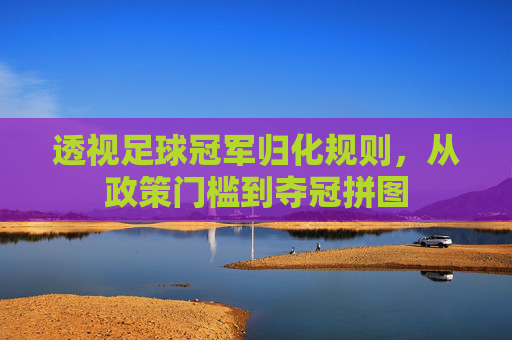 透视足球冠军归化规则,从政策门槛到夺冠拼图