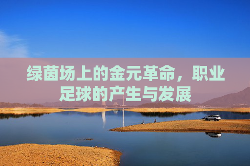 绿茵场上的金元革命，职业足球的产生与发展