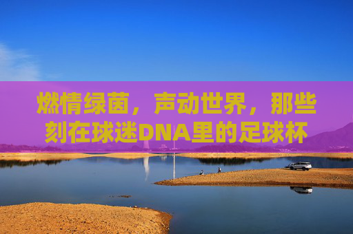 燃情绿茵,声动世界,那些刻在球迷DNA里的足球杯主题曲